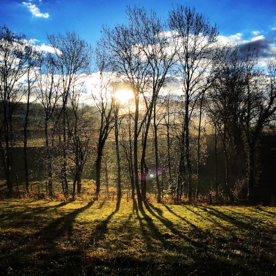 qualité environnement qualité environnement