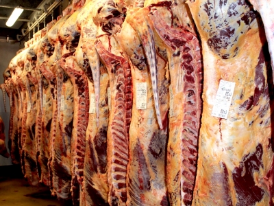 carcasses carcasses